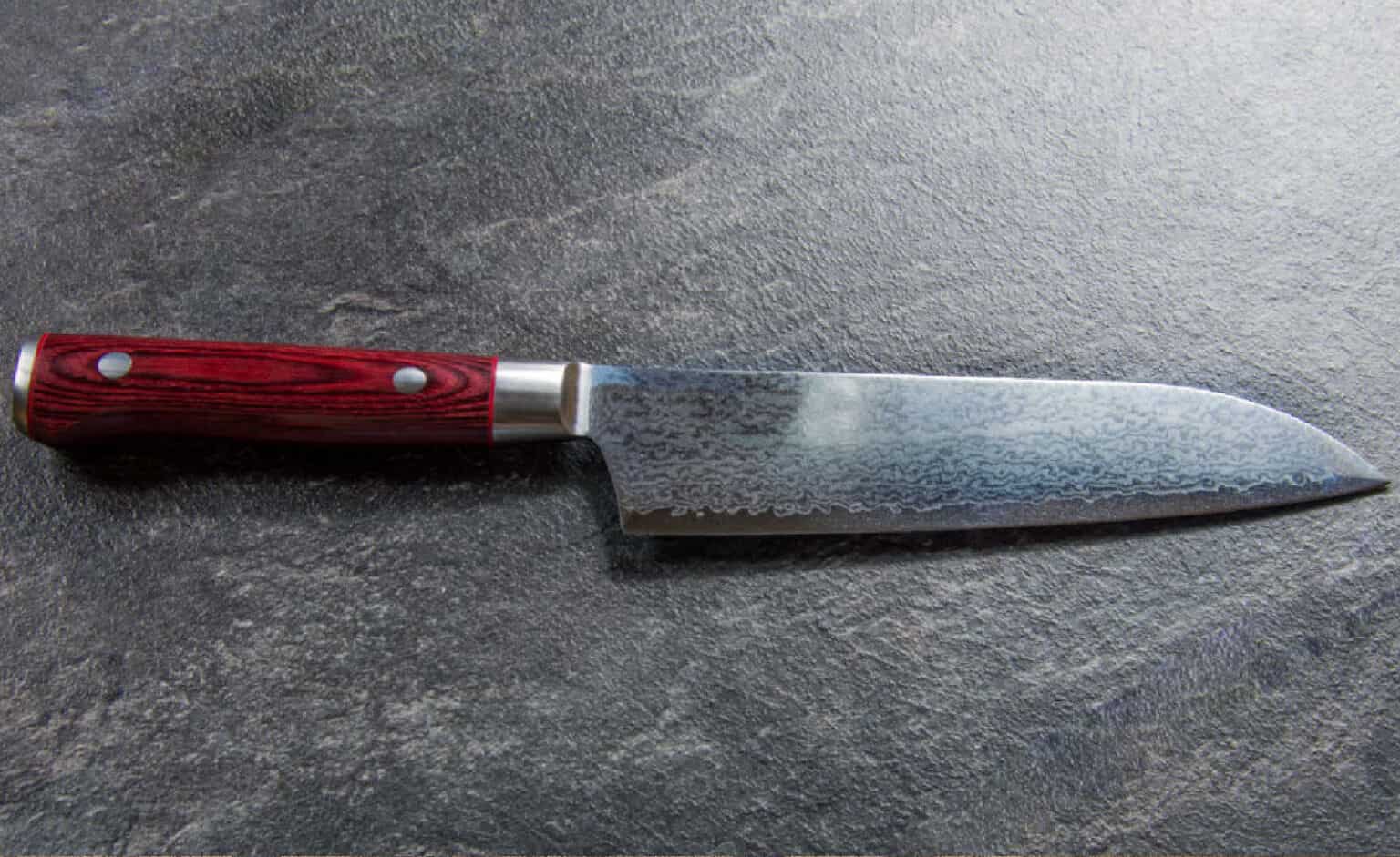 SG2 vs VG10 Comparison (Which Is The Better Knife Steel?)
